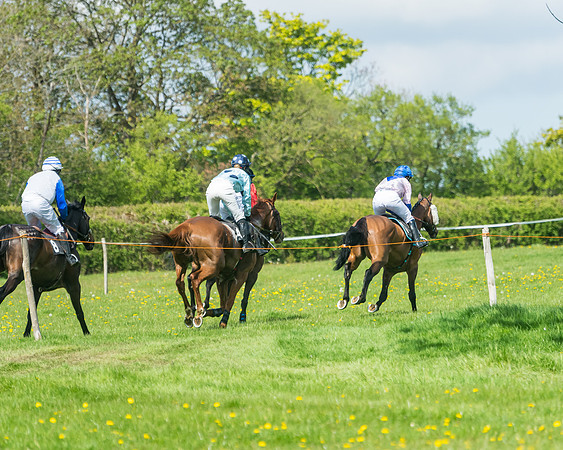 Race 2 - Veteran Horse  (40 of 82)