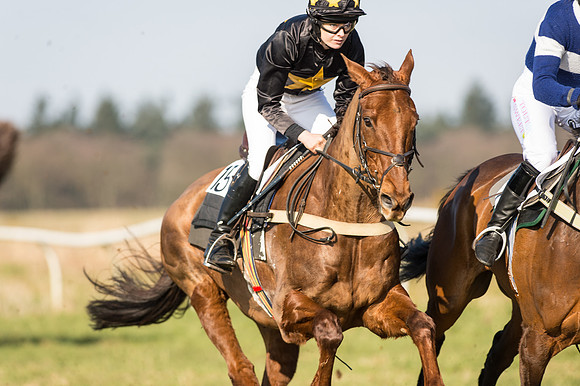 Race 3 - The Ladies Open Race (34 of 69).jpg