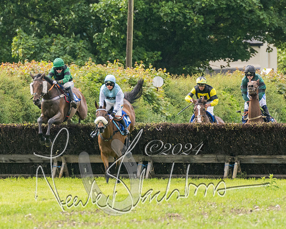 Race 4 - Mixed Open (180 of 591)