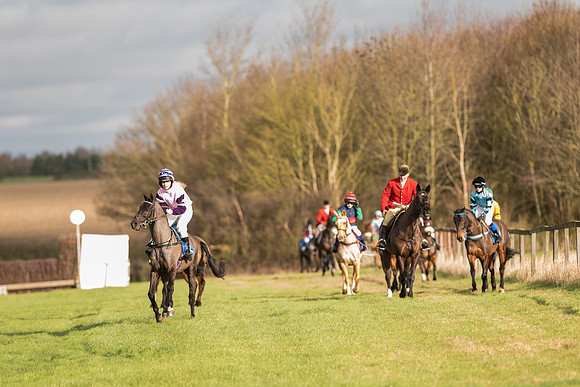 Pony Race 1  (1 of 34).jpg