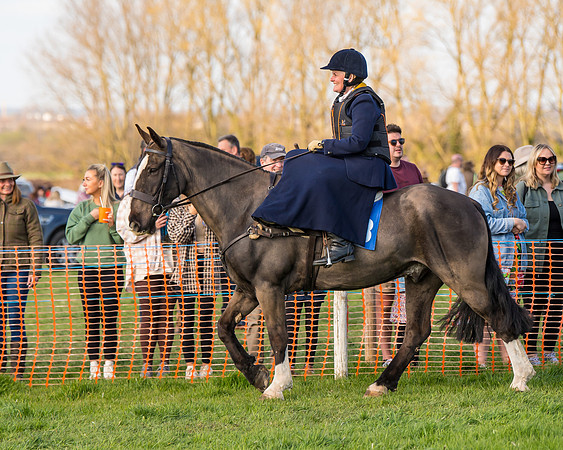 Side Saddle dash  (16 of 170)