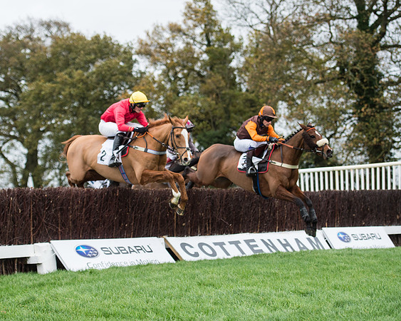 Race 2 - Mens Open (41 of 66).jpg