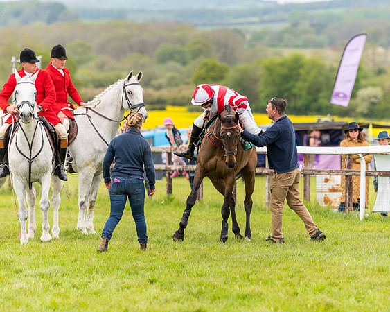 Race 7 - Veteran Horse conditions (42 of 244)