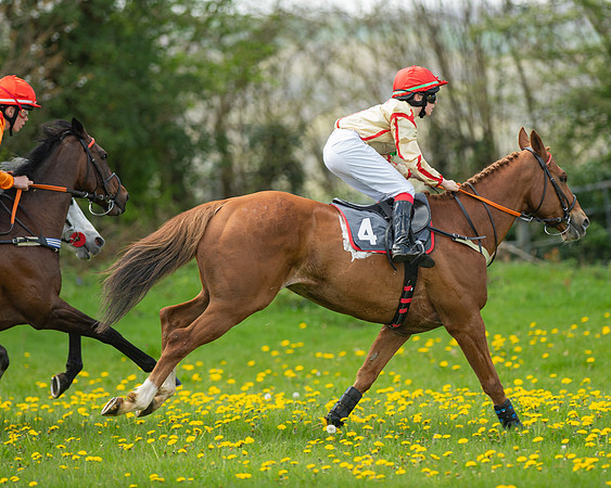 Ponies and Side saddle (45 of 69)