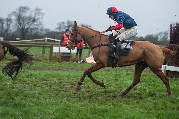 Race 8 - Young Horse Maiden  (76 of 85).jpg