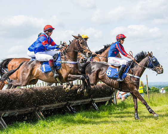 Race 2 - PPORA Novice Riders (216 of 444)