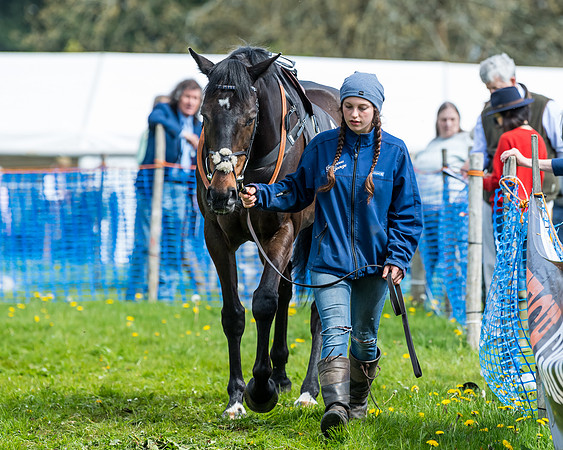 Race 2 - Veteran Horse  (22 of 82)