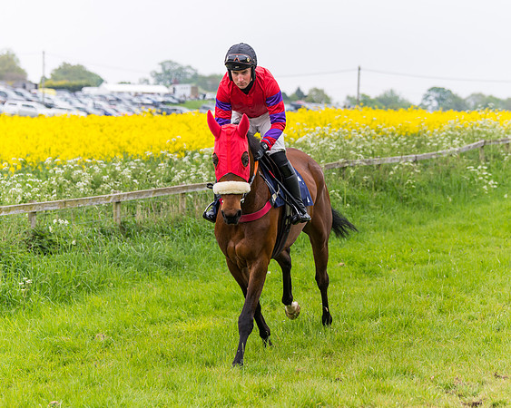 Race 6 - The Maiden [NWFAA] (29 of 143)