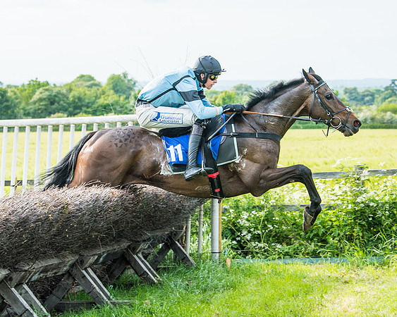 Race 6 - Open Maiden (231 of 346)