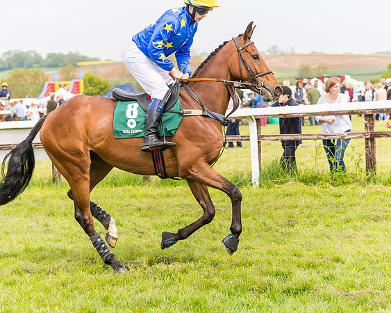 Race 2 - Owner-Trainer Conditions  (34 of 208)