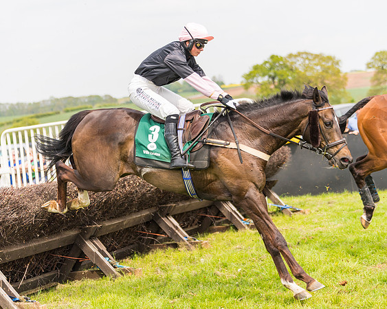 Race 2 - Owner-Trainer Conditions  (116 of 208)