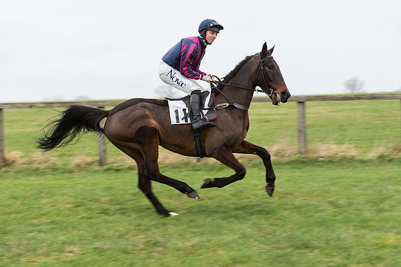 Race 7 - Open Maiden (29 of 131).jpg