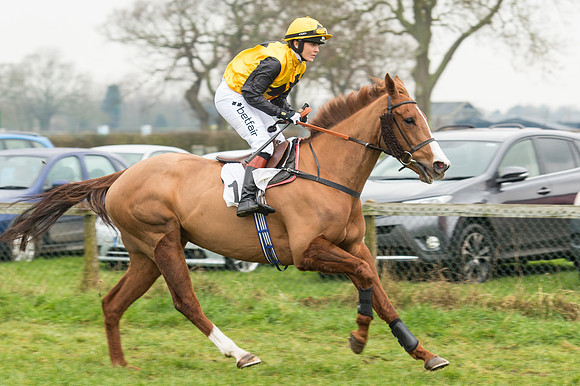 Race 4 - Ladies Open Race (39 of 96).jpg
