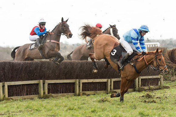 Race 5 - 2M 4F Conditions (43 of 96).jpg