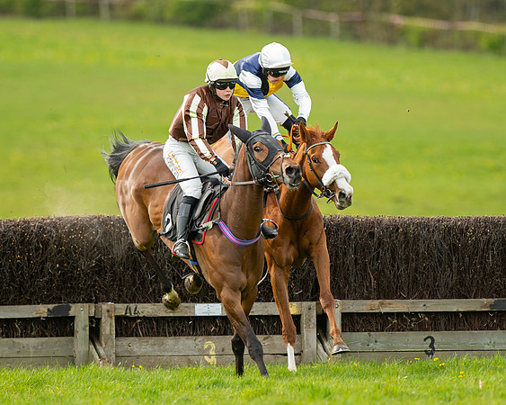 Race 5 - Open Maiden  (38 of 89)