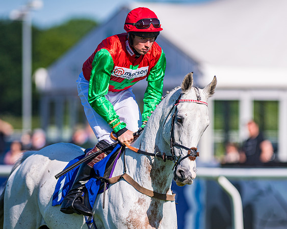 Race 1 - JFF Open Hunter Steeple Chase 2m  (16 of 202)