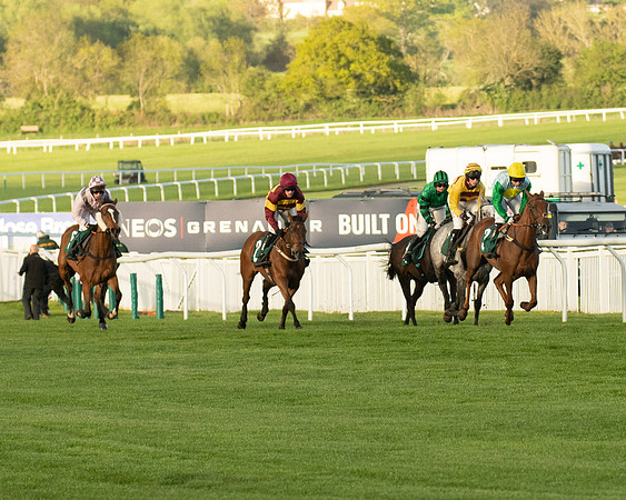 Race 5 - Mares Open  (95 of 329)