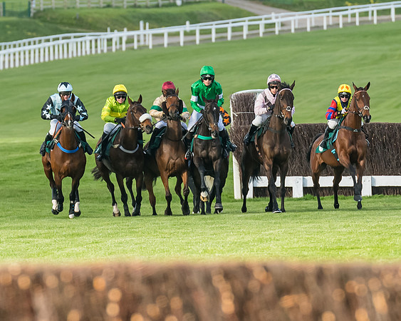 Race 3 - KTDA Open Hunter Chase (104 of 317)