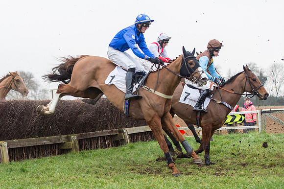 Race 7 - Young Horse Maiden  (30 of 64).jpg