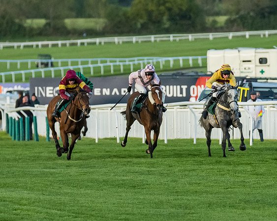Race 5 - Mares Open  (113 of 329)