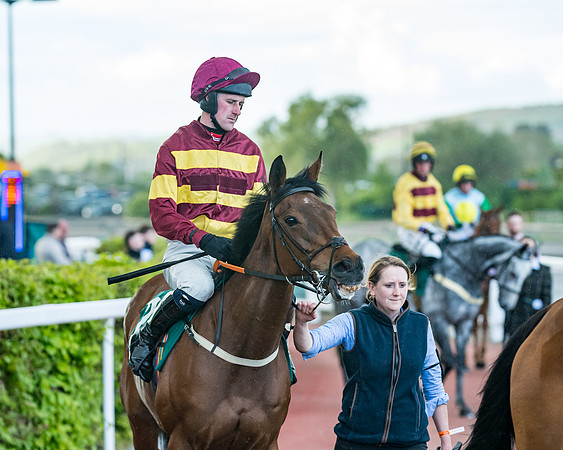 Race 5 - Mares Open  (52 of 329)