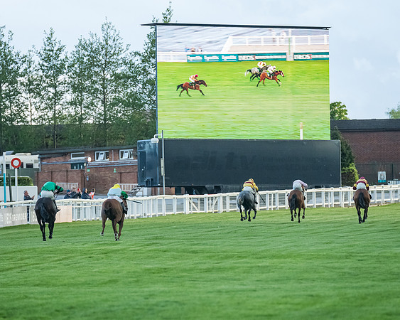 Race 5 - Mares Open  (182 of 329)