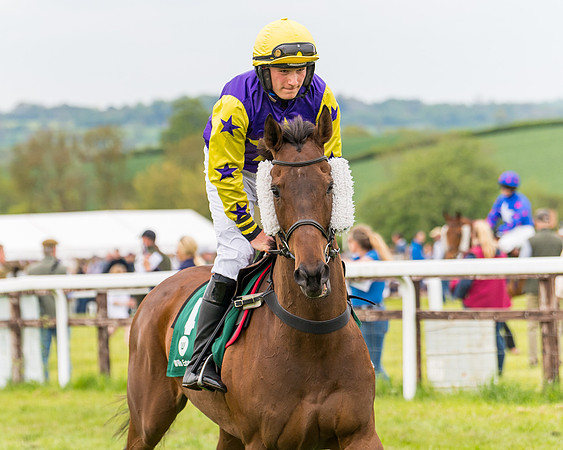 Race 7 - Veteran Horse conditions (65 of 244)