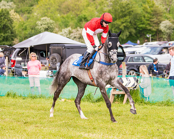 Race 6 - Open Maiden (81 of 346)