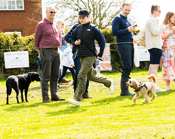 Dog show etc (63 of 157)