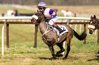 Pony Race 1 - 128 -  (15 of 24).jpg