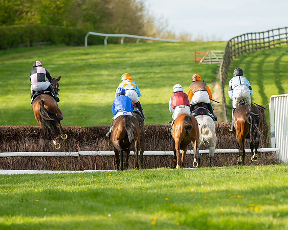 Race 7 - Maiden  (41 of 113)