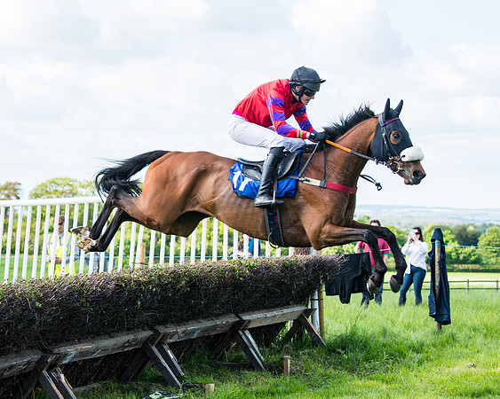 Race 5 - 2m5f Maiden (44 of 144)