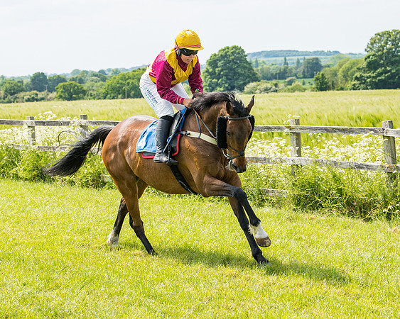 Race 2 - PPORA Novice Riders (139 of 444)