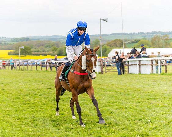 Race 7 - Veteran Horse conditions (56 of 244)