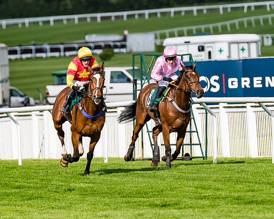 Race 2 - Lycetts Intermediate final  (194 of 310)