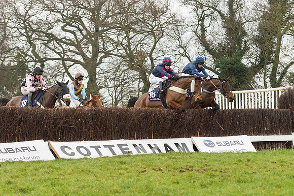 Race 5 - The Restricted Race (47 of 86).jpg