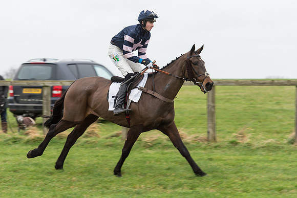 Race 7 - Open Maiden (39 of 131).jpg