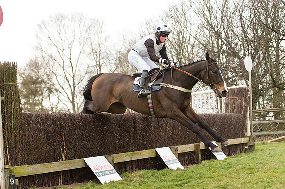 Race 2 - PPORA Novice riders  (155 of 186).jpg