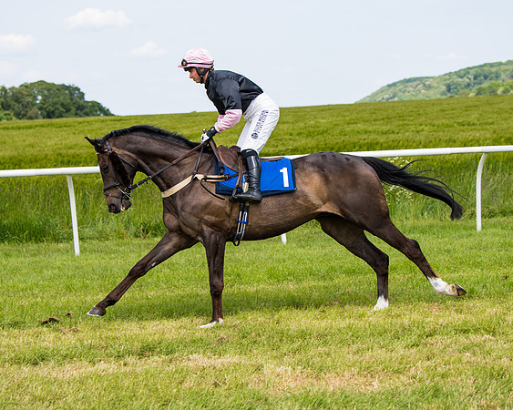 Race 1 - The Little Red owner Trainer conditions (112 of 345)