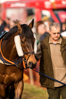Race 4 - Novice and Veteran Riders (12 of 115).jpg
