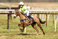 Pony Race 1 - 128 -  (12 of 24).jpg