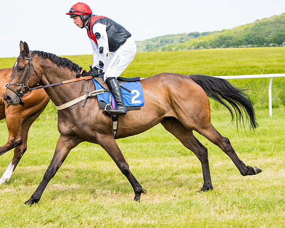 Race 1 - The Little Red owner Trainer conditions (131 of 345)