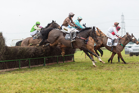 Race 6 - Open Maiden Race Div 1  (42 of 90).jpg