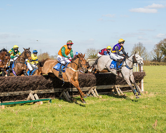 Race 1 - Open Maiden Division 2 (53 of 173)