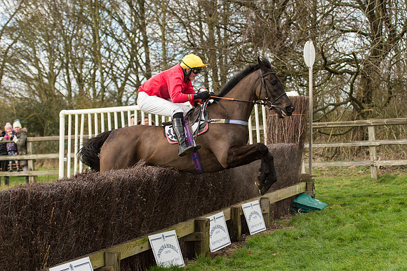 Race 2 - Young Horse Maiden (88 of 110).jpg
