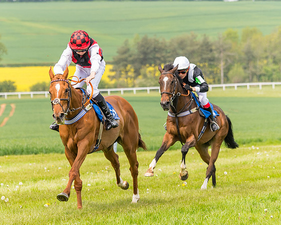 Pony Race 2 - 148cm (92 of 142)