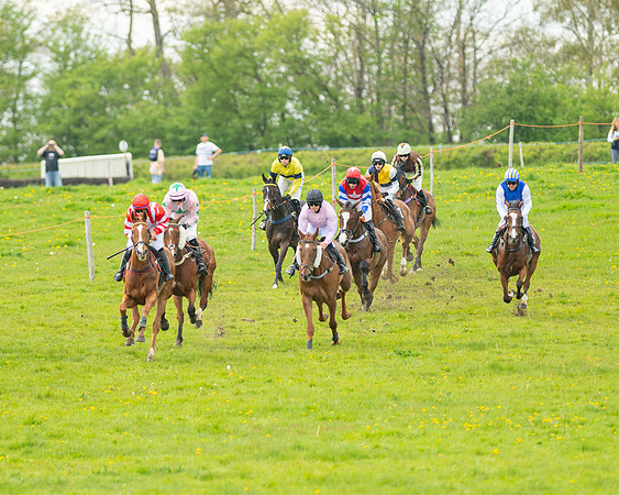 Race 5 - Open Maiden  (4 of 89)