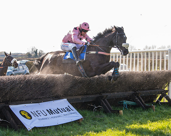Race 5 - The Waverton Investment Management Ltd Restricted Race farmers and subscribers Race  (94 of 161)