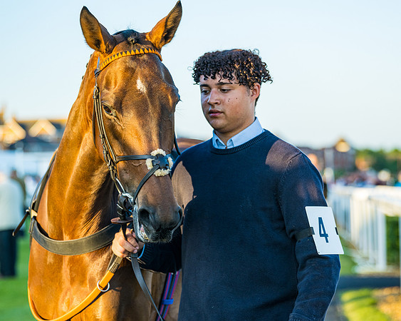 Race 7 - ITM NH Flat Race (28 of 197)