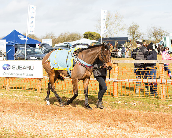 Race 2 - Subaru Restricted (20 of 150).jpg